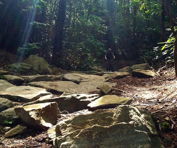 pisgah mountain bike trails