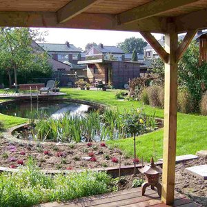 A look in the garden