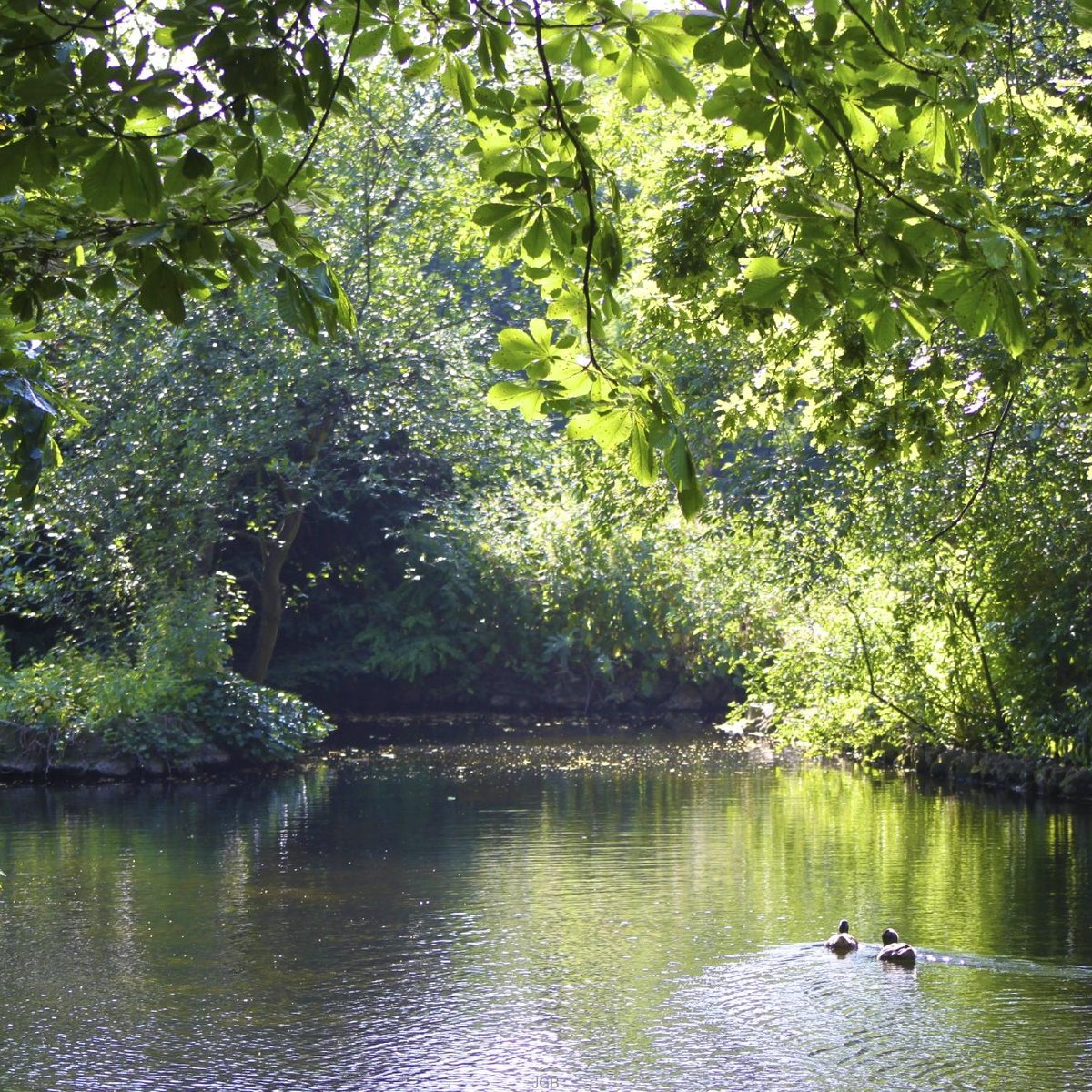 Lloyd Park, Walthamstow: лучшие советы перед посещением - Tripadvisor