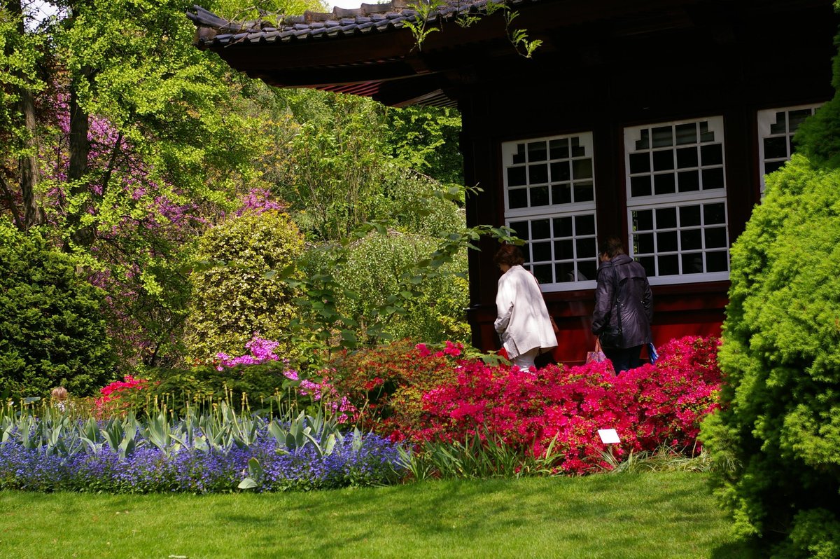 The 10 best Things to Do in Leverkusen 2023 (with Photo)
