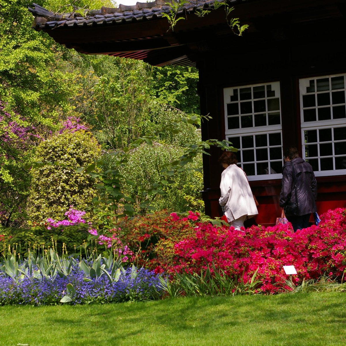 Japanischer Garten Leverkusen, Леверкузен: лучшие советы перед посещением -  Tripadvisor