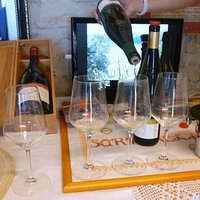 wine tasting
