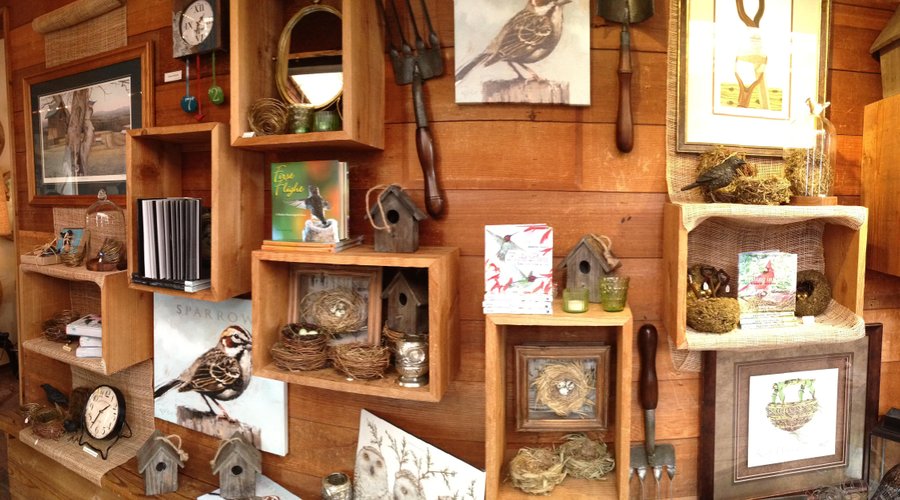 Bird nest display