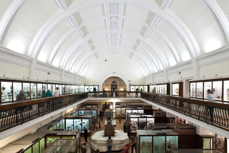 Horniman Museum and Gardens (Londres) - ATUALIZADO 2023 O que saber ...