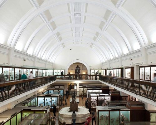 natural history museum london interior