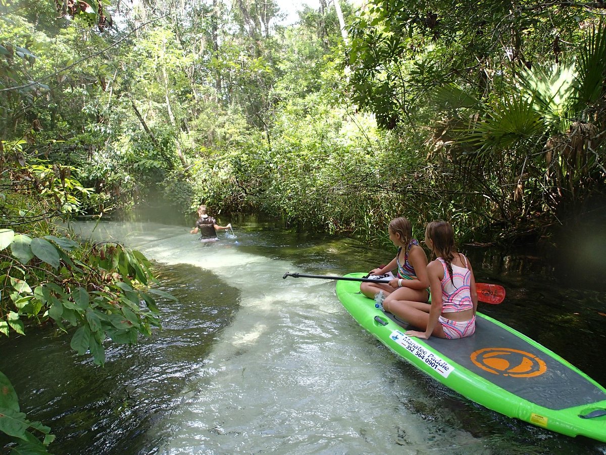Kayaks for sale in Manattee Road, Florida
