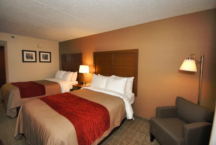 Comfort Inn Latham - Albany North Parking: Pictures & Reviews - Tripadvisor