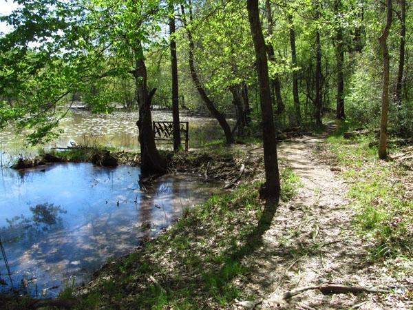 Sandy creek hot sale dog sanctuary