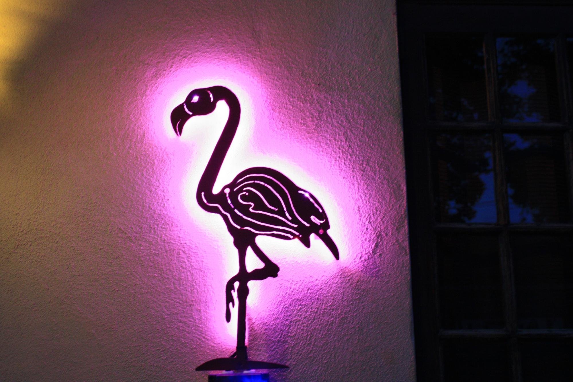 LE FLAMANT ROSE - Updated 2024 Prices, Reviews, And Photos