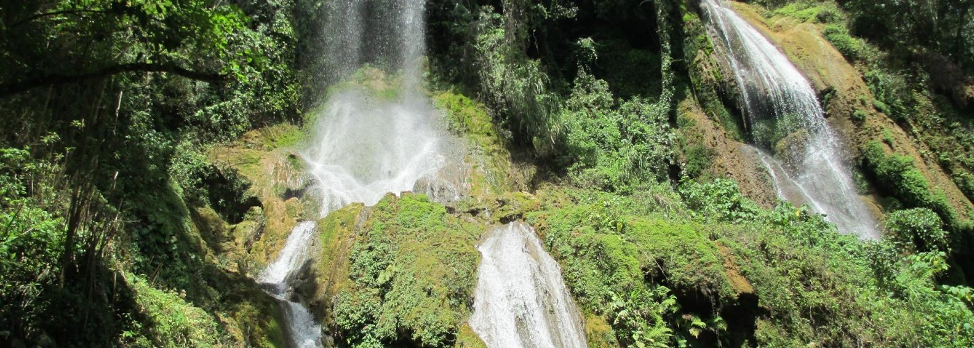 chute avec le safari