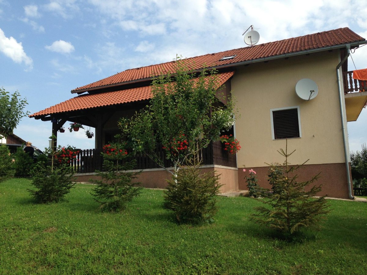 Jelena barač gole slike