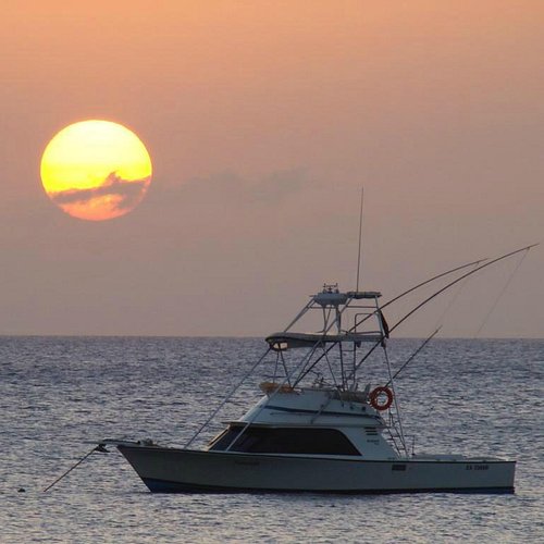 Deep sea fishing - Nungwi Deep Sea fishing & Local fishing