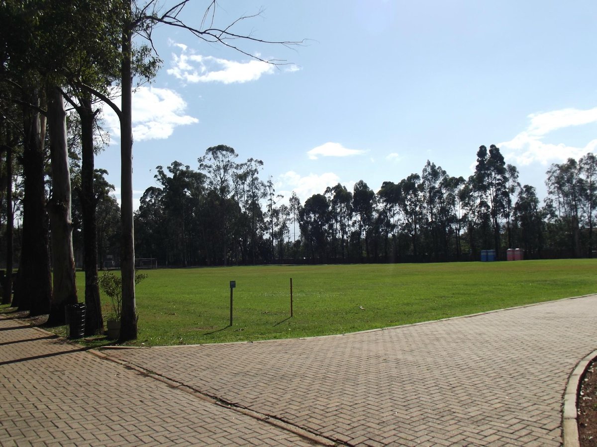 Parque Leopoldina Orlando Villas-Bôas recebe Seleção Brasileira de Futebol  Americano neste final de Semana