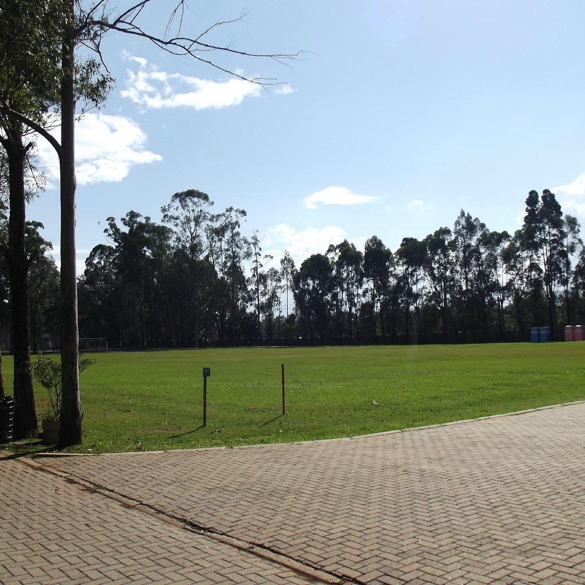 Parque Leopoldina Orlando Villas-Bôas recebe jogo decisivo do campeonato  brasileiro de futebol americano, Secretaria Municipal do Verde e do Meio  Ambiente