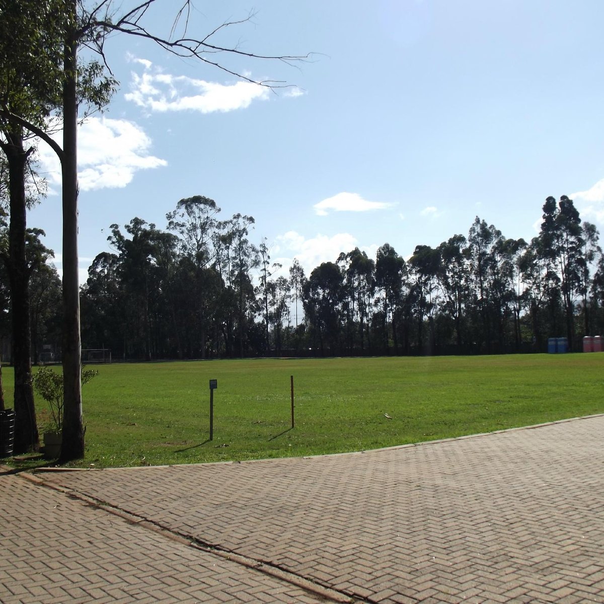 Parque Leopoldina Orlando Villas-Bôas recebe Seleção Brasileira de Futebol  Americano, Secretaria Municipal do Verde e do Meio Ambiente