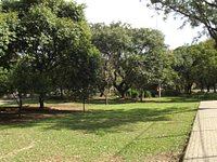 Parque Leopoldina Orlando Villas-Bôas recebe Seleção Brasileira de