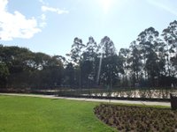 Parque Leopoldina Orlando Villas-Bôas recebe Seleção Brasileira de