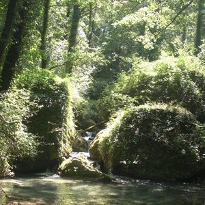 Sembra l'Amazzonia ma è il Molise!
