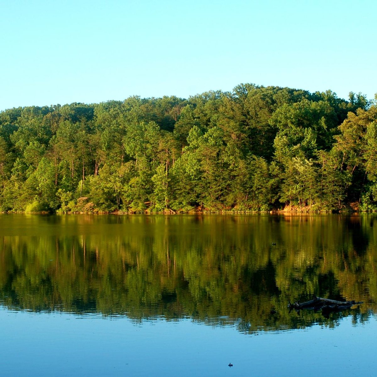 lake-accotink-park image