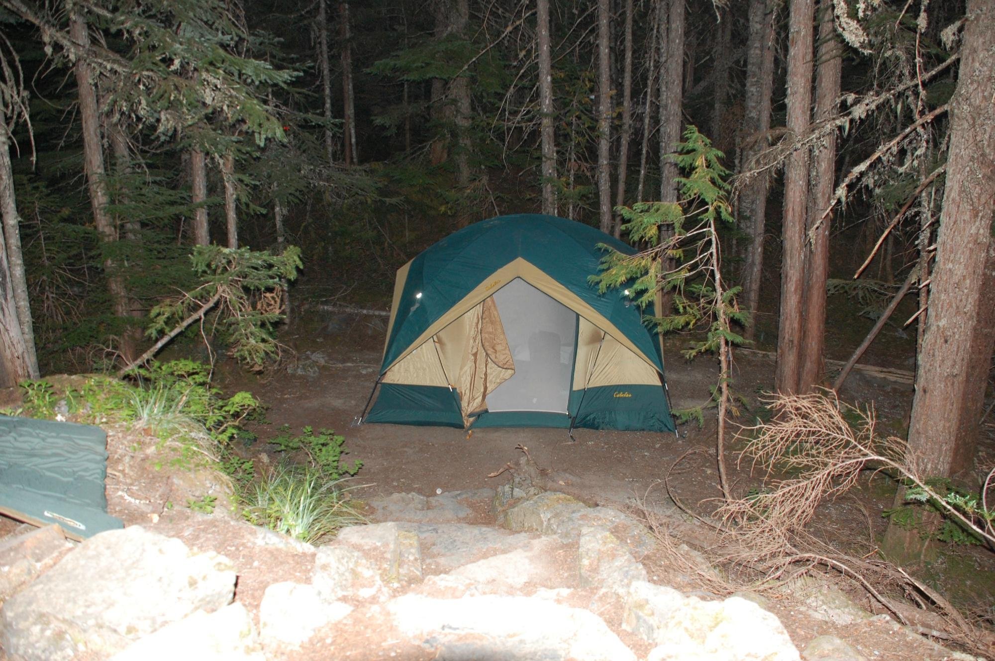 Cougar Rock Campground by null