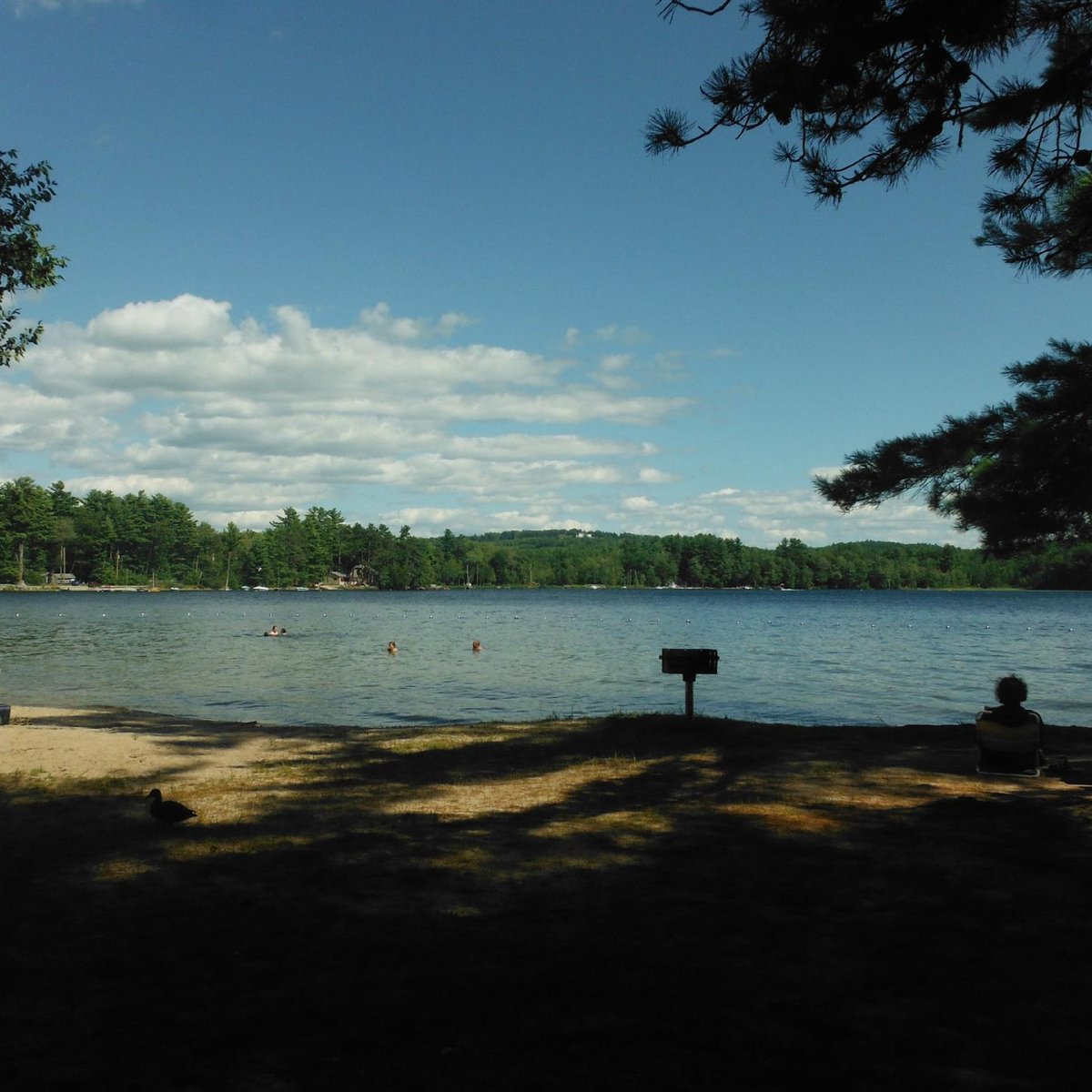 Wentworth State Park (Wolfeboro) - All You Need to Know BEFORE You Go