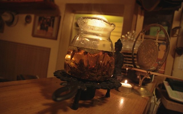 feel the steeping