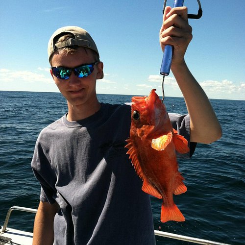 Trips & Rates — Maine Deep sea fishing charters f/v liveliner portland