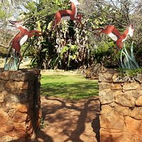 Quaint leaping Springboks arch at entrance