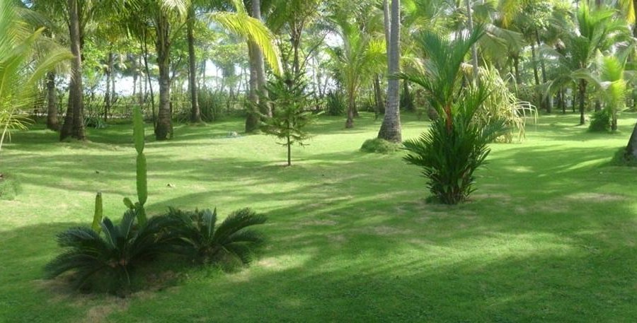 jardin