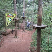 Into the cargo net