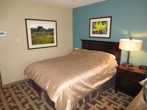 Room & Suite