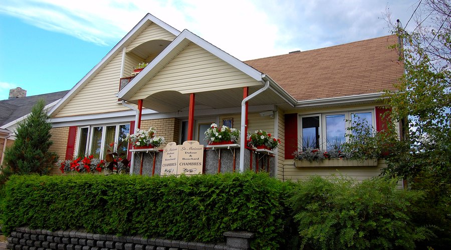Le gîte en fleurs