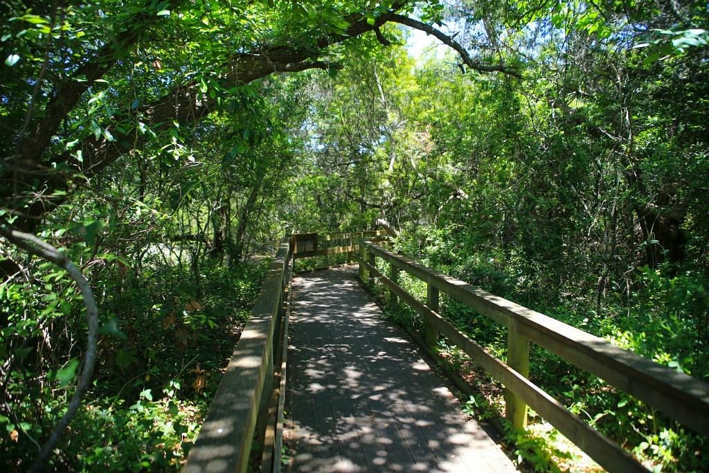 Summertime Florida Hiking – RH Photo Adventures