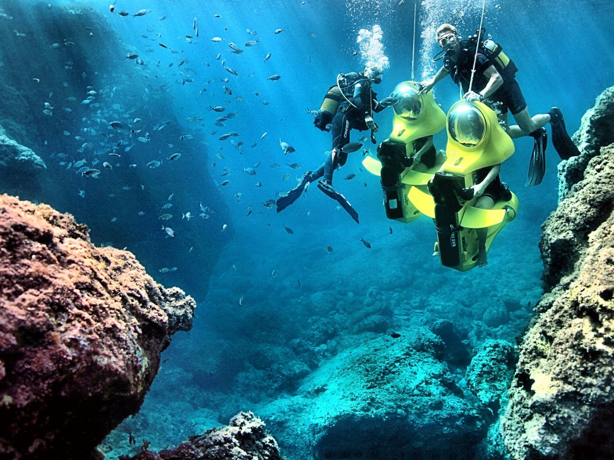 Cool Divers BOND Safari, Андрач: лучшие советы перед посещением -  Tripadvisor