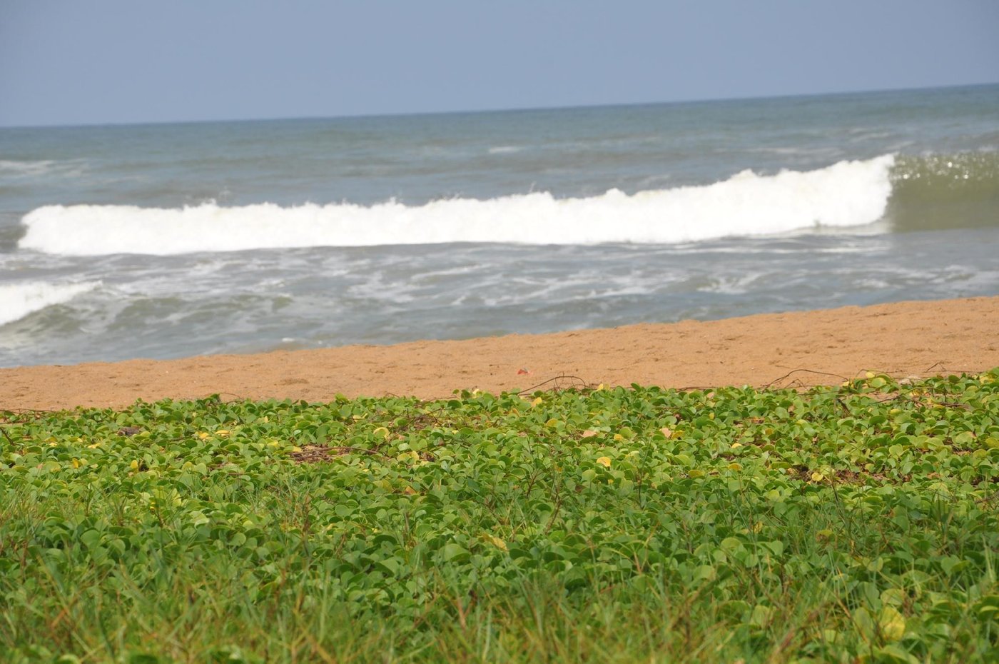 LAYA BEACH - Prices & Hotel Reviews (Wadduwa, Sri Lanka)