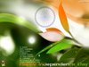 Dinesh M