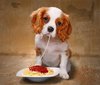 Eataly_Lovers