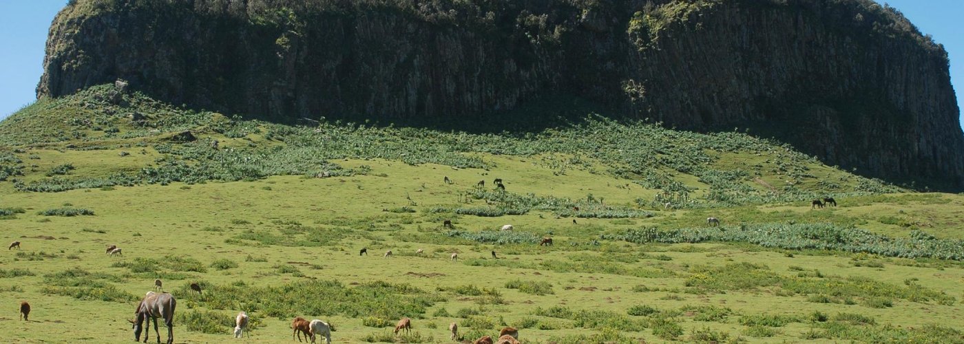 Mount Choke (1 hour from Debre markos by Land Cruzer; 2 hours by public bus
