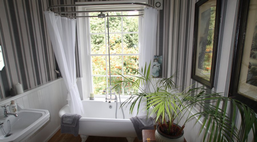 The Bathroom