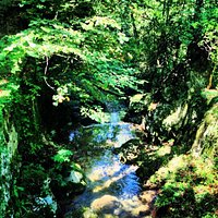 getlstd_property_photo