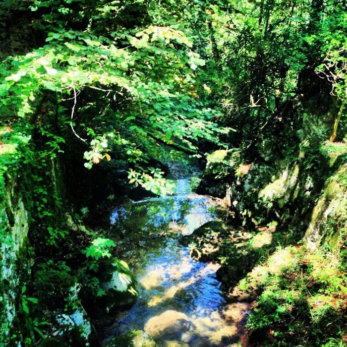 Imagen 1 de La Cova del Santuari de la Mare de Deu de Lourdes