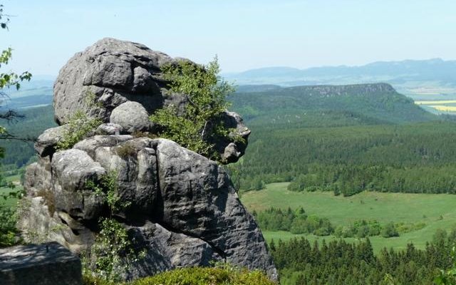 Małpa