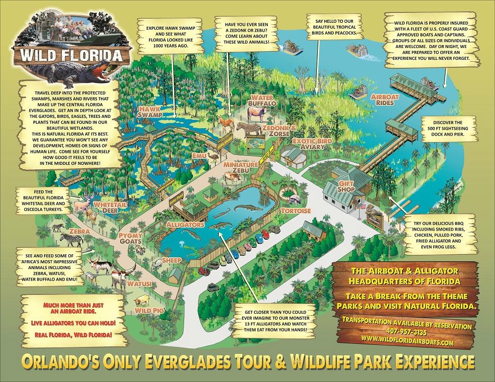 Wild Florida Airboats u0026 Gator Park - All You Need to Know BEFORE You Go  (2024)