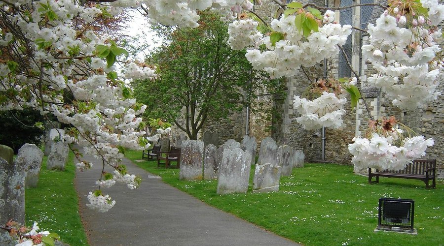 The Churchyard