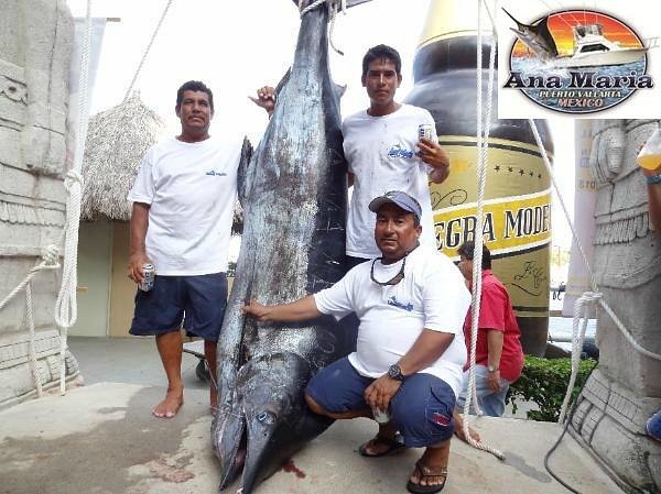 Ana Maria Sportfishing - All You Need to Know BEFORE You Go (2024)