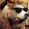 The Bear