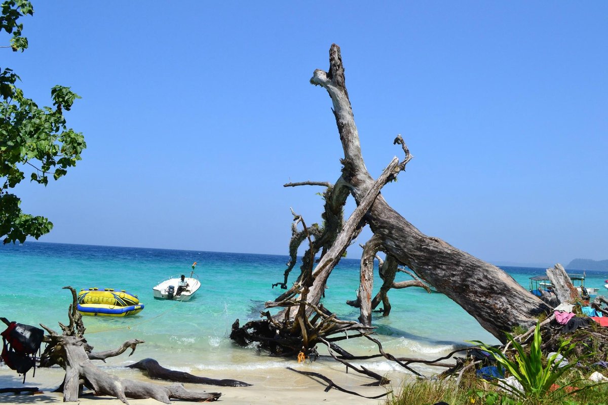 Elephant Beach (Havelock Island) - All You Need to Know ...