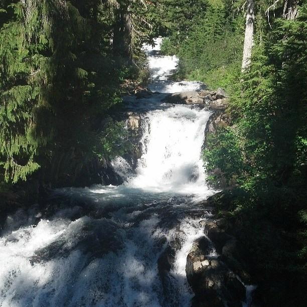 Hikes near 2024 cougar rock campground