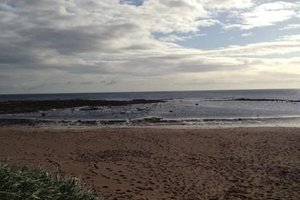 Pool & Beach
