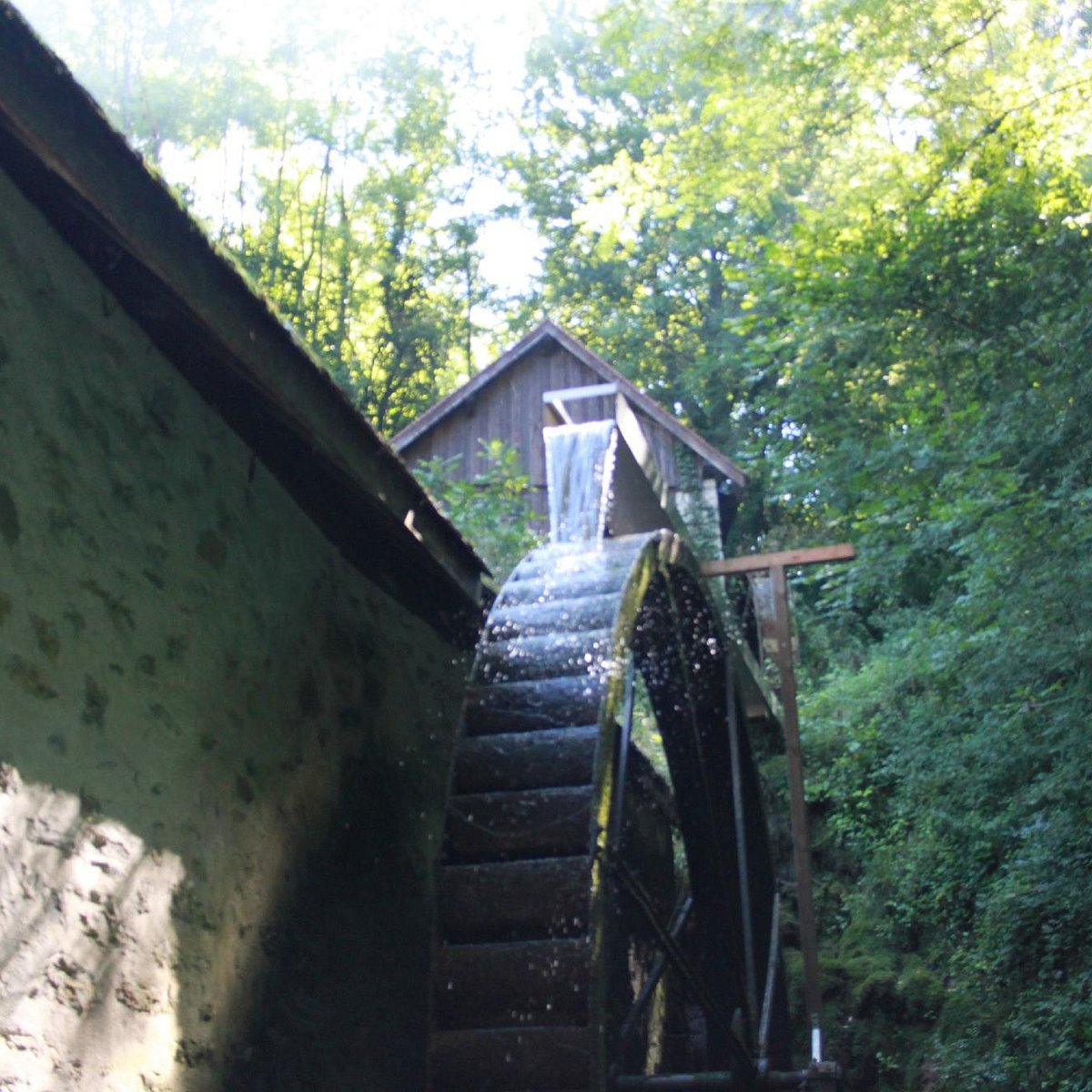 LE MOULIN DE CHANAZ : Ce qu'il faut savoir pour votre visite (avec photos)